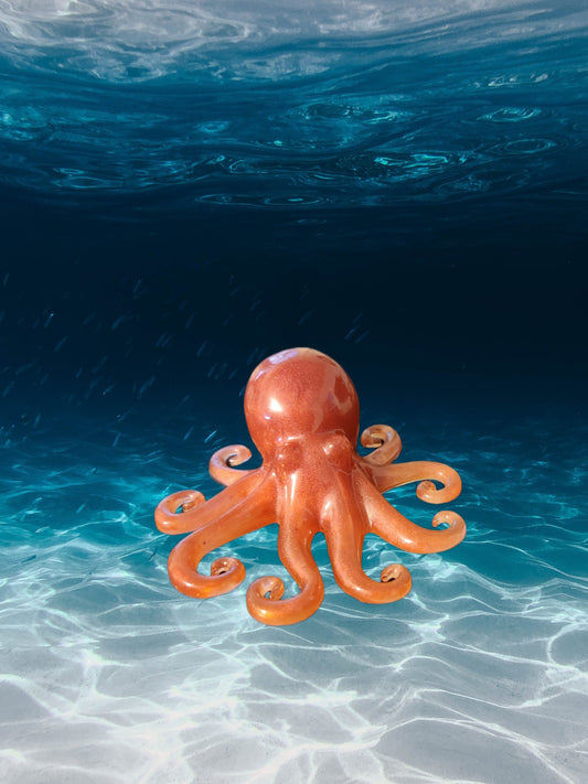 Red octopus