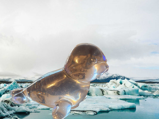 Clear seal pup