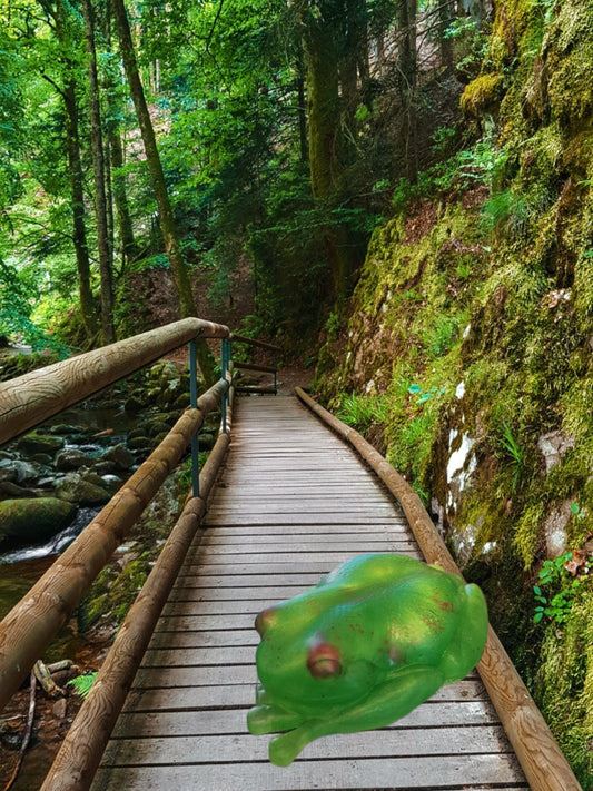 Lime green frog