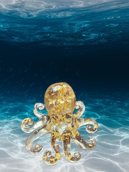 Gold flake octopus