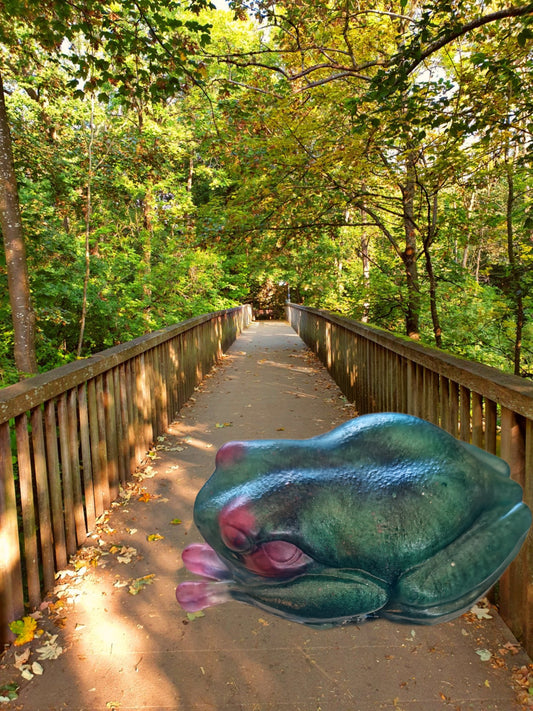 Tree frog